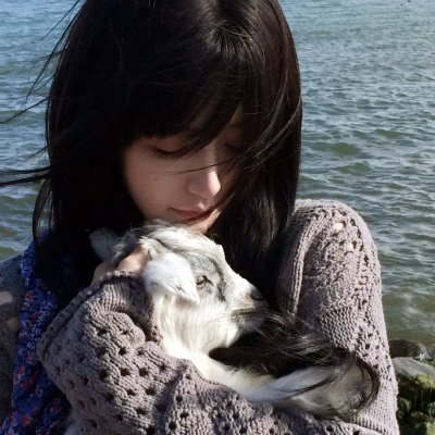 美丽生灵